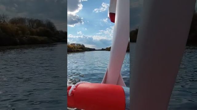 Лебёдушка