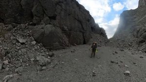 Тяжелоходство