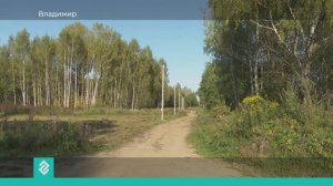 Собственники участков для многодетных семей в Лунево уже несколько лет просят проложить дорогу