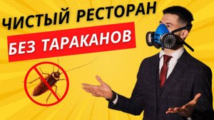 Как избавиться от тараканов и грызунов на пищевом производстве и не допустить их появления