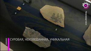 Мобильная экспозиция «Многовековая Югра_ Начало» Музея природы и человека в Нижневартовске