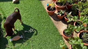 Гуляем, сажаем и строим садовые планы.