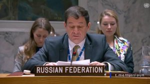 Д.А.Полянский на Совете Безопасности ООН по ситуации в воздушном пространстве Эстонии, 22 сентября