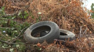 Прокуратура добилась ликвидации свалки на берегу новосибирской реки