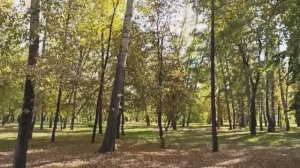 ОСЕНЬ ЗОЛОТАЯ ! НОВОКУЗНЕЦК