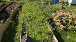 Погода шикарная! Готовлю.