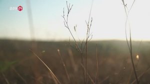 Трейл-марафон в Красносулинском районе