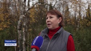 КРОСС НАЦИИ - 2025