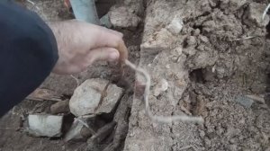 Найти и заработать!