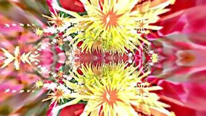 Видеофоны! Видеофон Осенняя цветочная фантазия 3 от Киностудии Мудрого Кота Тимофея!