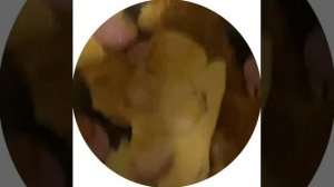 Когда насмотрелся клипов и решил повторить 18+ #жиза #семейныйвлог.