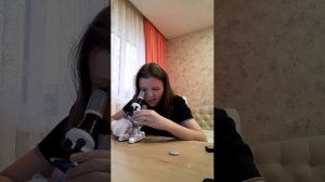 итлр