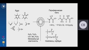 5. Живые организмы и органическая часть почвы (часть 3)