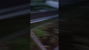 огород 21.09.2025