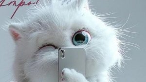 вязаные бабушкины носки от Анны Николаевны. продаются Щёлково. пересылка Вацап, телеграм 89153341491