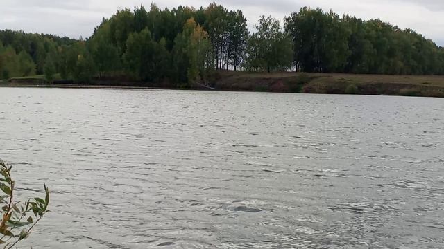 красивый пруд