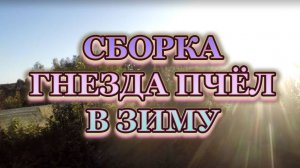 Сборка гнезда пчёл в зиму, всё подробно.