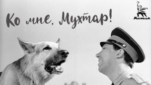 Ко мне, Мухтар! (4К, драма, реж. Семён Туманов, 1964 г.)