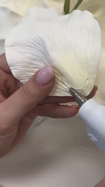 УЗНАЙ ВСЕ СЕКРЕТЫ СОЗДАНИЯ ГЛАДИОЛУСОВ С ПОДСВЕТКОЙ #мастеркласс #цветыизфоамирана #букетучителю смотреть онлайн