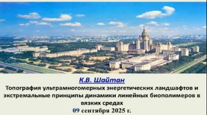 Шайтан К.В.  Топография ультрамногомерных энергетических ландшафтов и экстремальные принципы ...