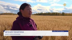 Уолбаҕа бурдугу аныгы технологиянан хаһааналлар. («Күнтэн күн»)