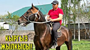 ЗОР АТ ЧЫКТЫ ЧАМДАҢЫЗДАР #байтв