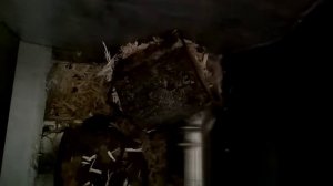 Шредер и сырые пни