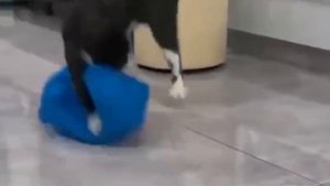 Меня кто-то схватил!