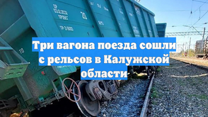 Три вагона поезда сошли с рельсов в Калужской области