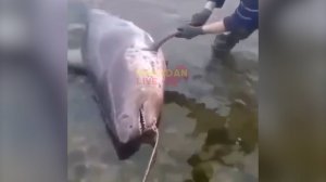 Народный патруль 23.09.2025