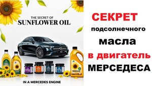 Подсолнечное масло, Давидыч, Мерседес или почему не заклинил двигатель.