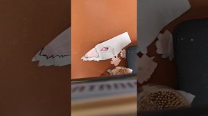Переделываю бумажного дракона