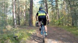 Пульс марафон 2025  9-я пятиминутка