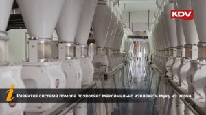 KDV. OOO "Яшкинская Мельница".