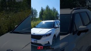 Отзыв от нашего клиента, г. Тюмень, Kia Carnival | DI AUTO TRADING - Авто из Кореи