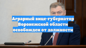 Аграрный вице-губернатор Воронежской области освобожден от должности