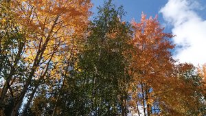 Дорога на работу