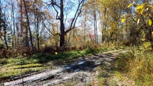 Всё таки жаль что кончилось лето