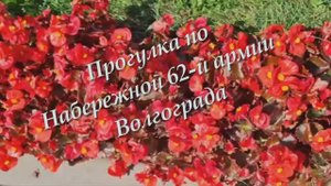 Прогулка по Набережной 62-й армии Волгограда.
