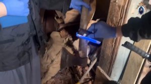 Жительницу Канска, убившую троих детей, могут отправить на принудительное лечение