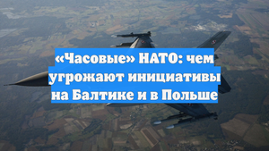 «Часовые» НАТО: чем угрожают инициативы на Балтике и в Польше