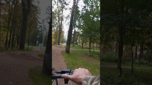 Парк г.Красноармейск