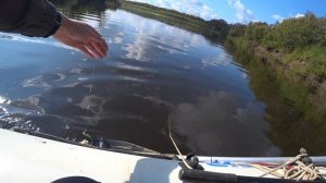 ПРЕКРАСНЫЙ ЛЕТНИЙ ДЕНЬ УХОДЯЩЕГО ЛЕТА.