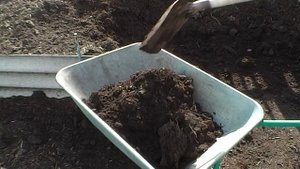 Заканчиваем с огородом, последние работы. Отдых на даче. Автор и исполнитель Д. Шлапак (Москва)