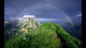 Вот и весь мой вам свет (Suno AI)