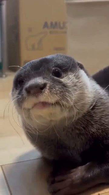 22-09-2025 смотреть онлайн