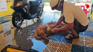 Помыл и машину, и собаку😁