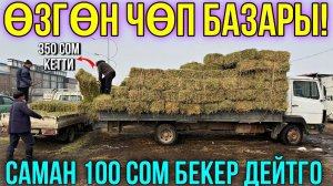 ЧӨП АРЗАНДАП САМАН 100 СОМ БОЛУП #байтв