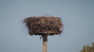 Антон Антонов | ТОЧКА.РФ – ЛЮДИ | г. Смоленск