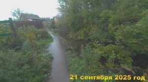 7 соток. В Выборге выпала месячная норма осадков за 2 дня. Хроника 21 сентября 2025 год
